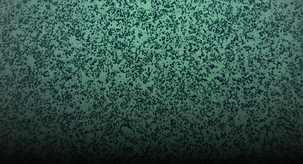 Polymetallic nodule field on the Pacific seafloor